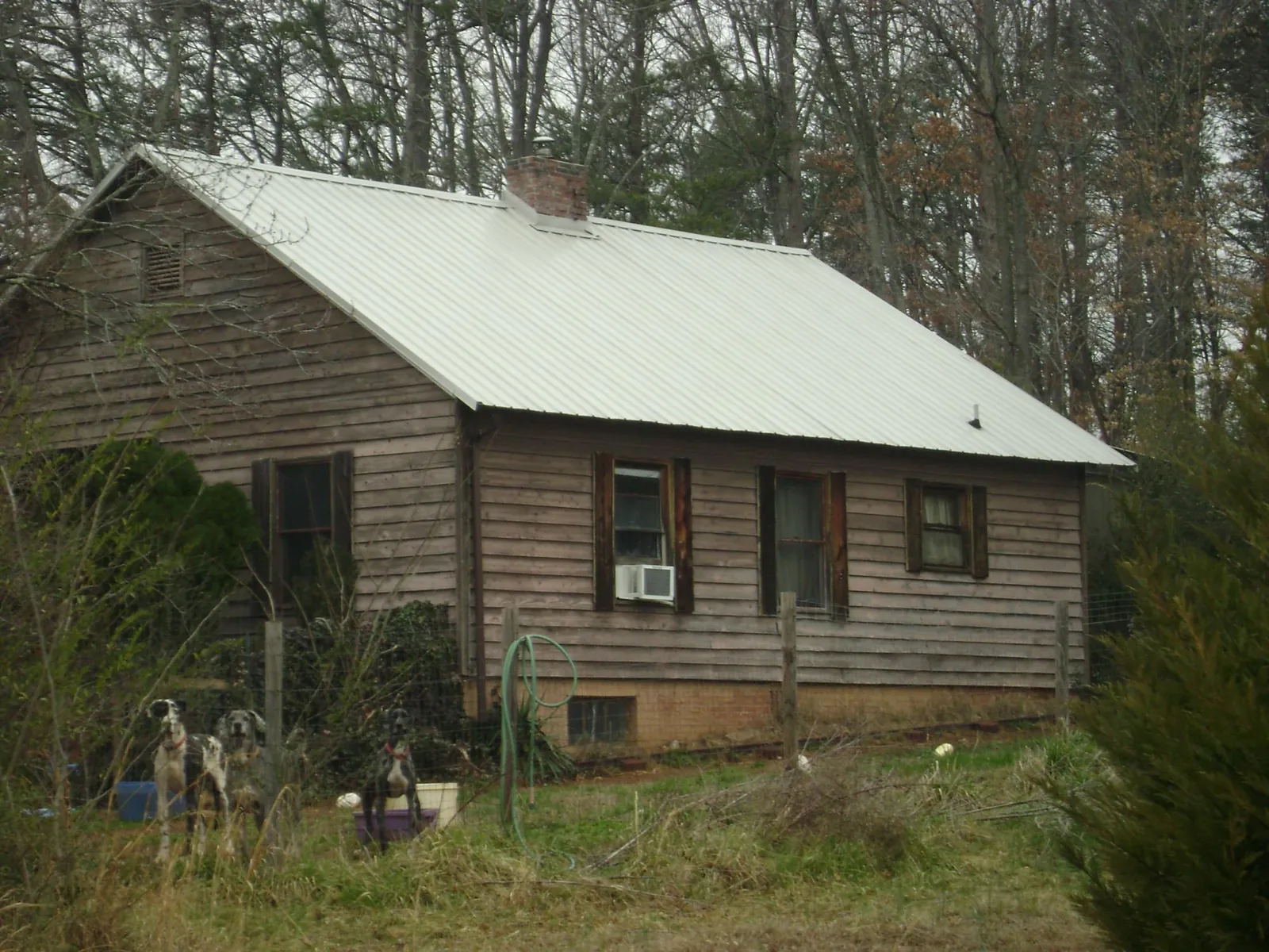 White metal roof on an old wood sided farmhouse, from a Metal Roof Installation job in Ayr